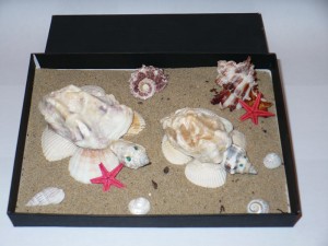 tortues