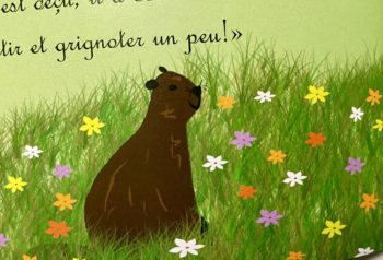 Livre Gaston petit marmotton ne veut pas dormir – Image 3